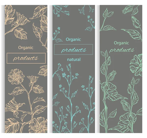 Banner decorativo floral, botánico — Vector de stock