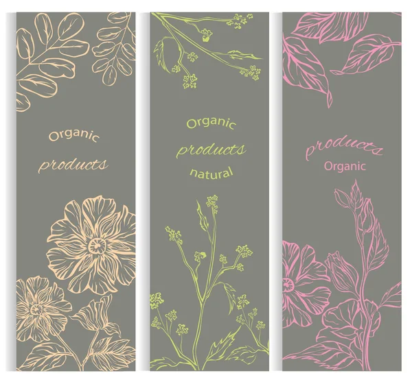 Set de folletos decorativos florales — Vector de stock