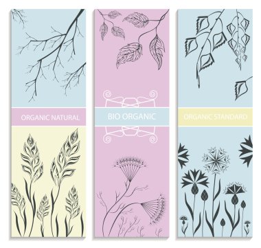 Dekoratif, çiçekli, botanik kart