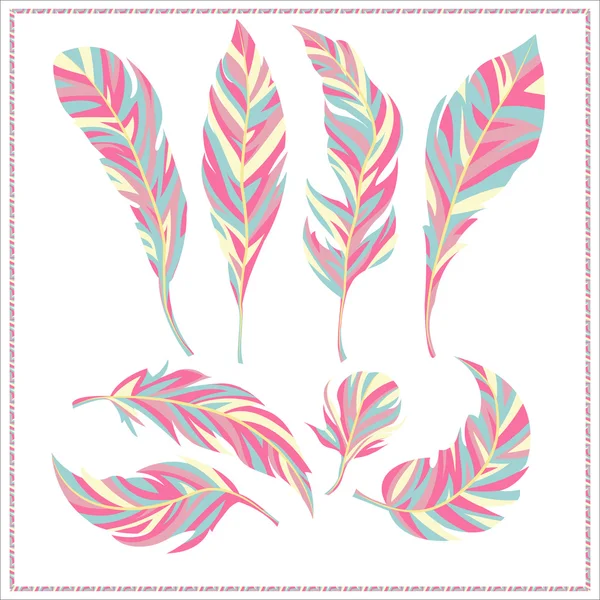 Set of decorative feathers — Stock Vector