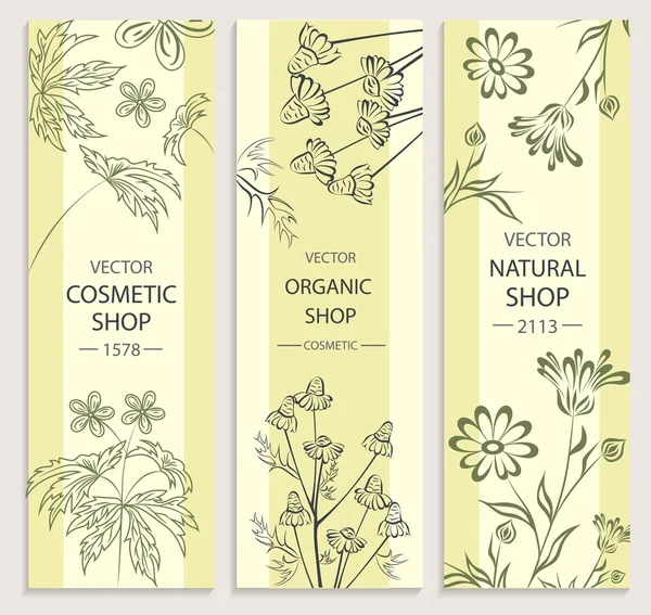 Banner floral, decorativo, botánico — Vector de stock