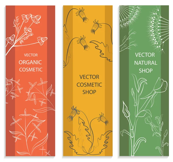 Set decorativo, floral, tarjeta botánica, banner — Vector de stock