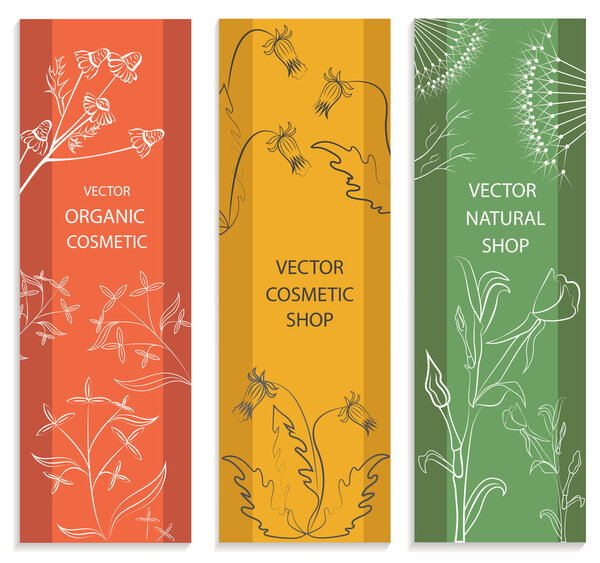 Декоративный набор, цветочная, ботаническая карта, баннер
