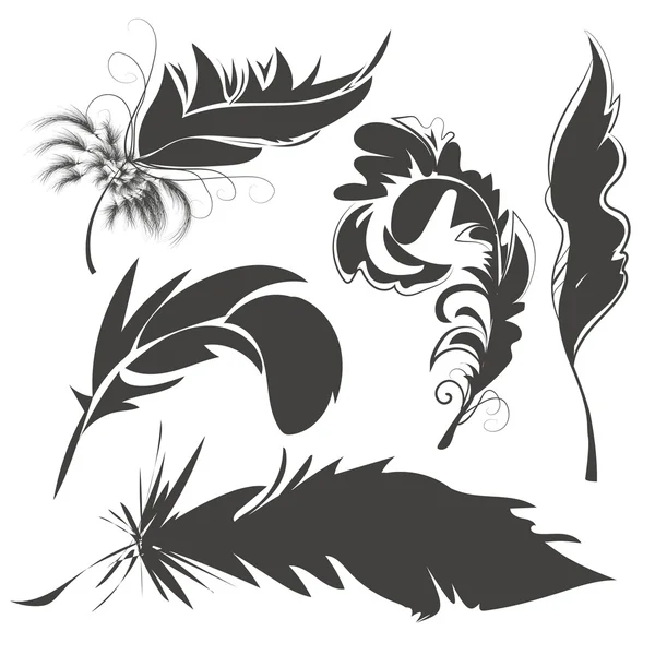 Küme kuş tüyleri çizim için