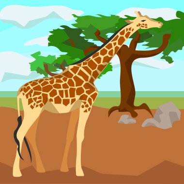 Giraffe on background trees, animals and nature