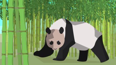 Panda in a bamboo grove, animal, nature
