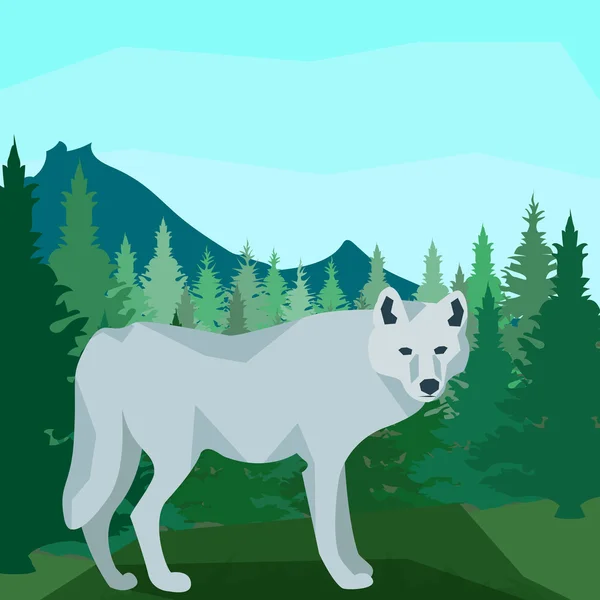 Wolf in the coniferous forest, animals and nature — Stock Vector