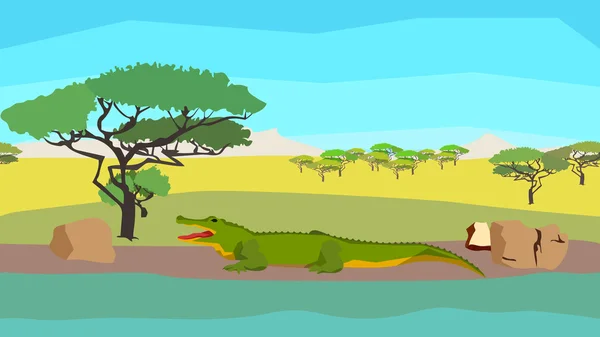 Crocodile near the river, seamless, animal, nature — Stock Vector