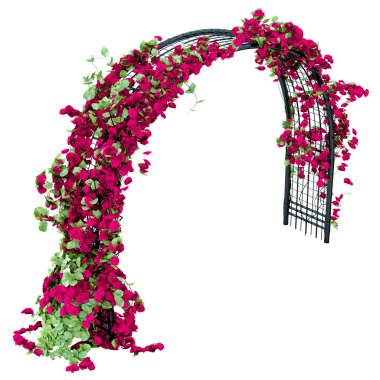 Black steel pergola