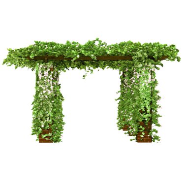 Long outdoor pergola