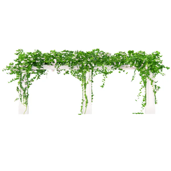 Abgewinkelte Holzpergola — Stockfoto