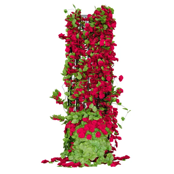 Pergola for the garden