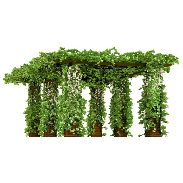 Outdoor arbor with ivy pergola — Stock Photo, Image