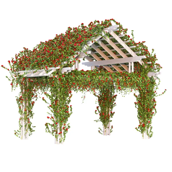 Curly red roses on the pergola — Stock Photo, Image