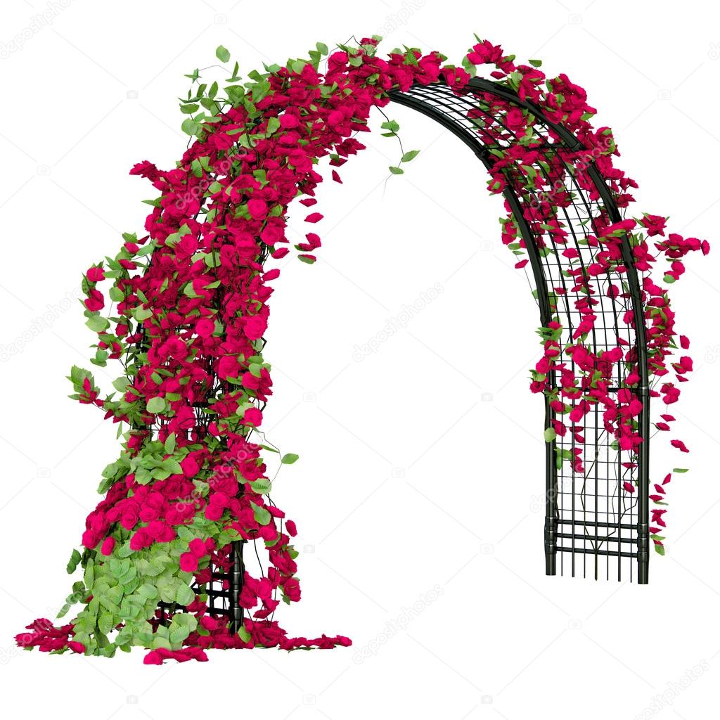 Arched pergola with roses