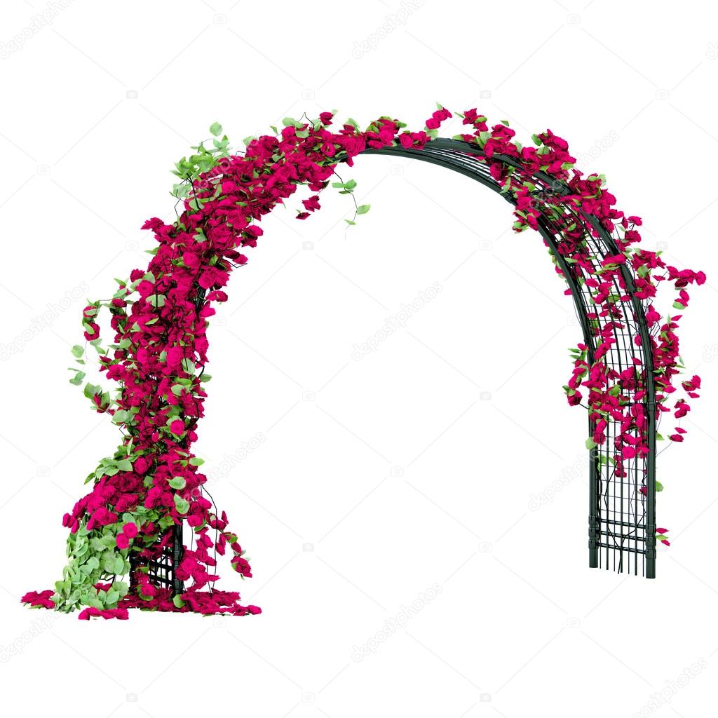 Arched pergola of black glossy metal