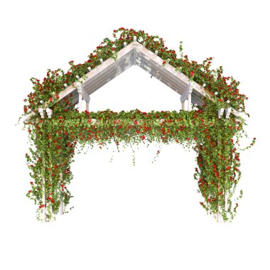 Güllü ahşap pergola