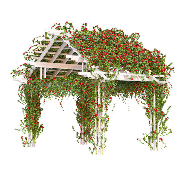 Pergola with red roses pergola