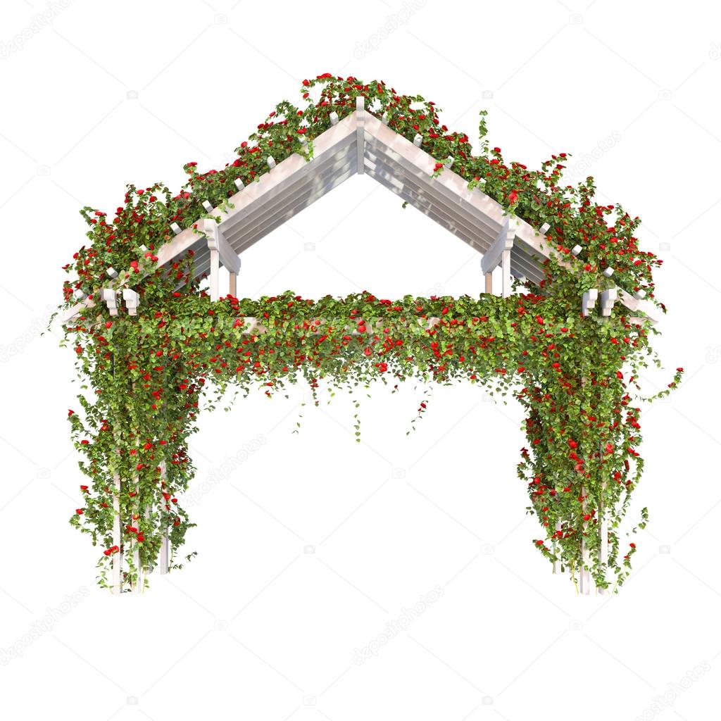 Wooden pergola with roses