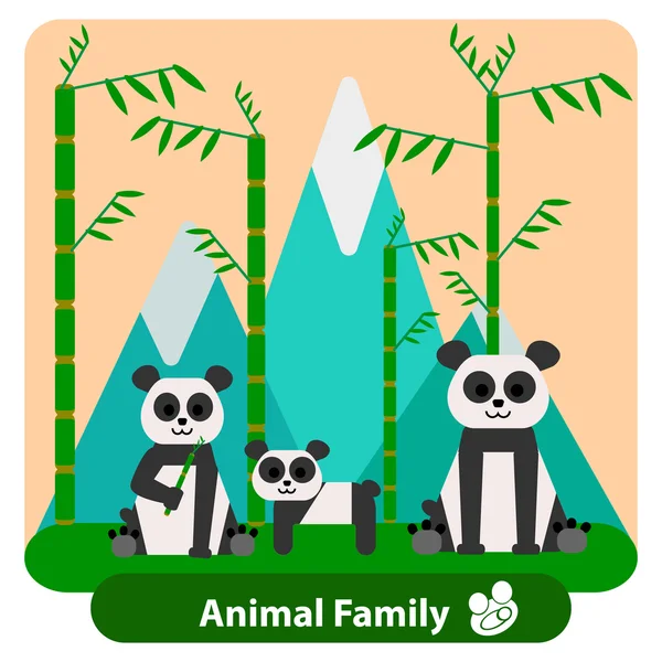 Family panda on the background of bamboo and mountains. — Stock Vector