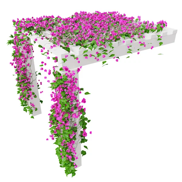 Hiedra con flores rosadas, vista superior —  Fotos de Stock
