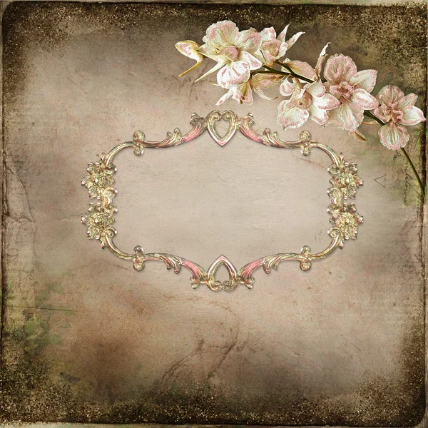 Old vintage background with orchid flowers with space for text or photo — Stock Photo, Image