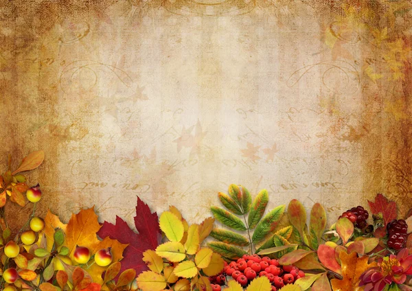 Rand mit Herbstblättern und Beeren auf Vintage-Hintergrund — Stockfoto