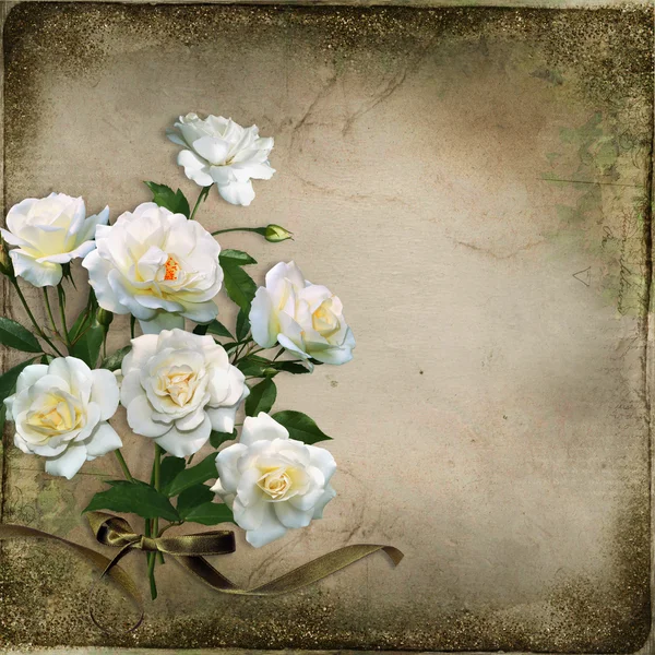 Fundo vintage bonito com rosas brancas — Fotografia de Stock