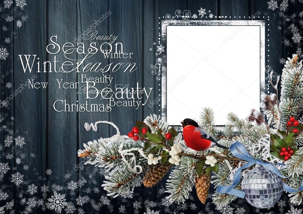 Christmas greeting card  with pine branches, bird and decorations
