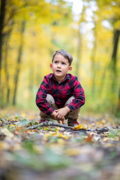 Beautiful Little Boy Playing Stick Forest — Stock Photo, Image