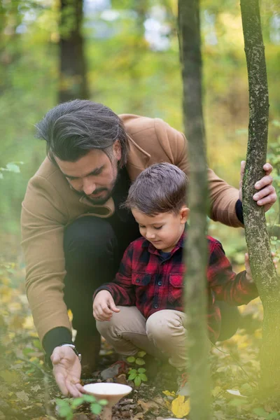 Bella Famiglia Padre Figlio Alla Ricerca Funghi Nella Foresta — Foto Stock