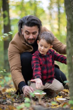 Güzel bir aile babası ve oğlu ormanda mantar arıyor.