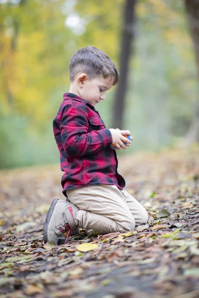 Красивий Молодий Хлопчик Грає Дитячою Камерою Вулиці Восени — стокове фото