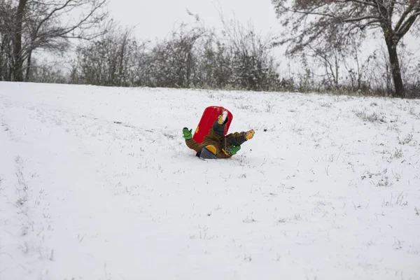 Bonito Menino Caindo Seu Trenó Inverno — Fotografia de Stock