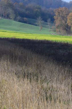 Interplay 'de vahşi ve tarımsal manzara