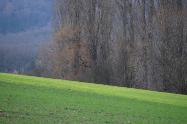 bir eğim alanı peyzajı karakterize eder