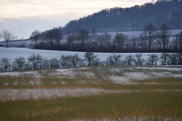 Toz Kar Bir Tarlada Açık Alanlar Bırakır — Stok fotoğraf