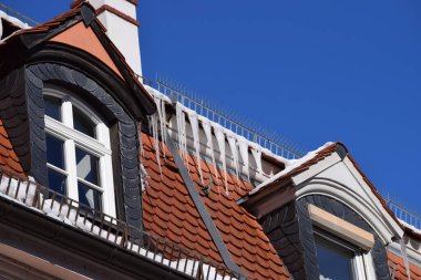 Kışın ayrıntılı bir güvercin koruması.