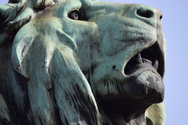Çenesinde eşek arısı olan bir aslan figürü.