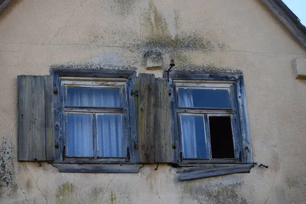 Terk edilmiş bir evde küf lekeleri.