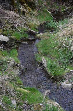 Yavaşça akan dere - böylece yeşillik yerleşimi