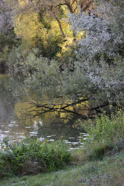 Die Strahlende Herbstsonne Spiegelt Sich Wasser — Stockfoto