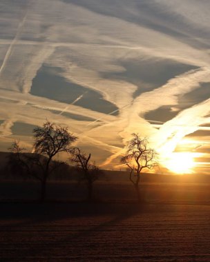 İç organları soğuktan yavaş yavaş dağılır.