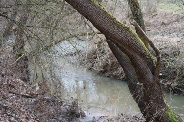 Manzaranın içinden geçen bir akarsu