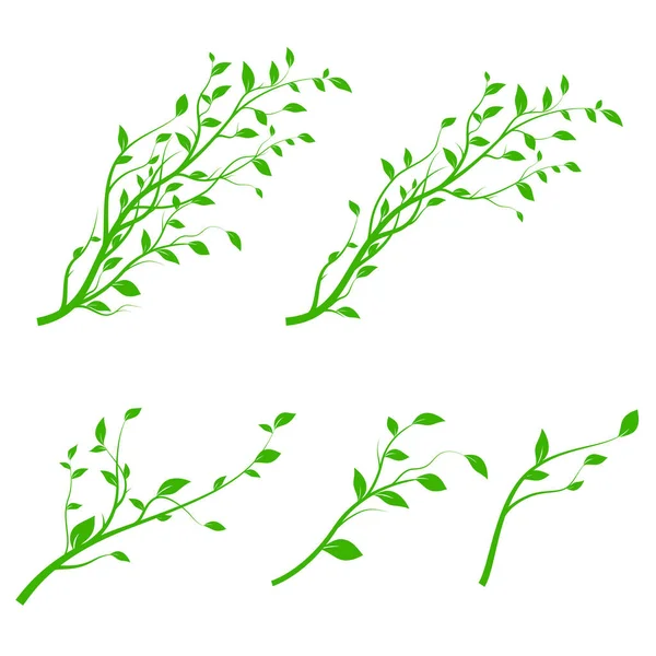 Ensemble Branche Arbre Vert Silhouette Branche Isolée Sur Fond Blanc — Image vectorielle