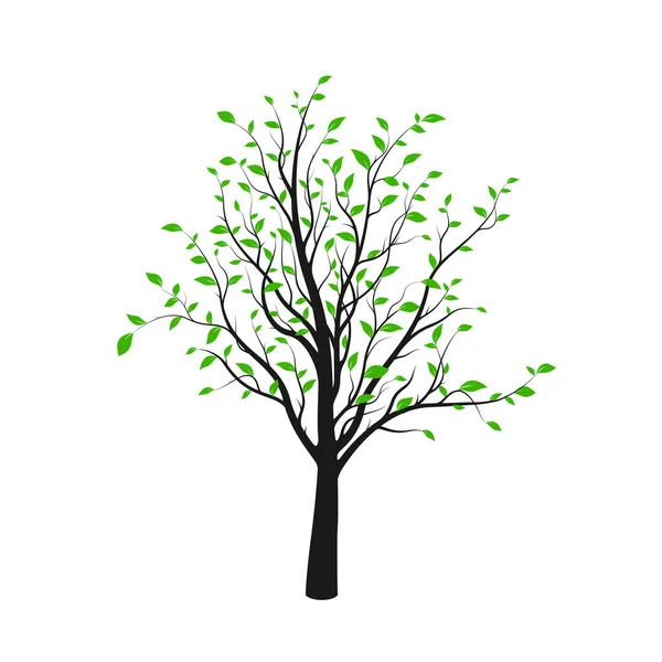 Black Tree Silhouette Green Leaves Isolated White Background Vector Illustration — Vetor de Stock