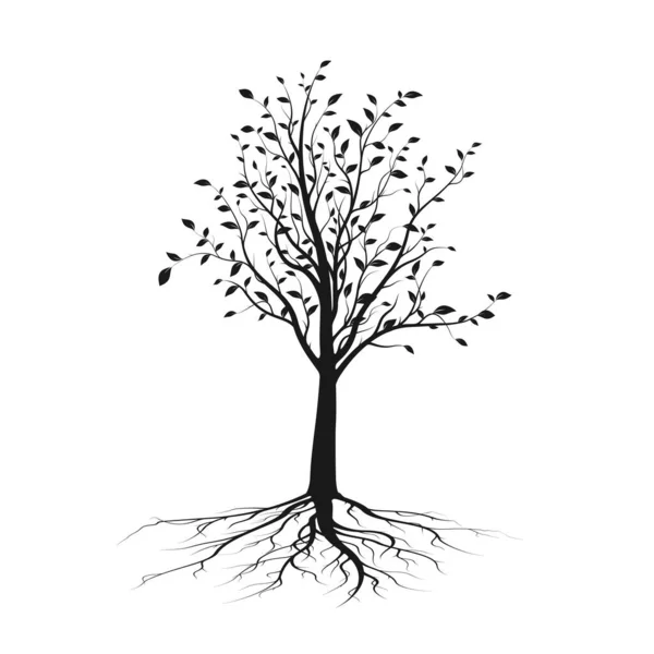 Silueta Árbol Negro Con Hojas Raíz Ecología Concepto Naturaleza Ilustración — Vector de stock