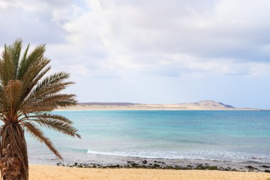 Güzel manzara plaj ve okyanus, Boavista, Cape Verde