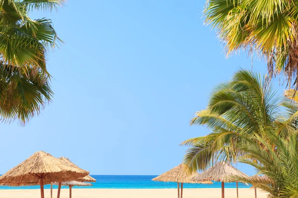 Yeşil ağaç üzerinde beyaz kum plaj, Boavista - Cape Verde — Stok fotoğraf