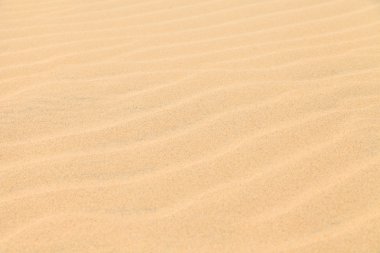 Doku kum kumul çöl Boavista, Cape Verde